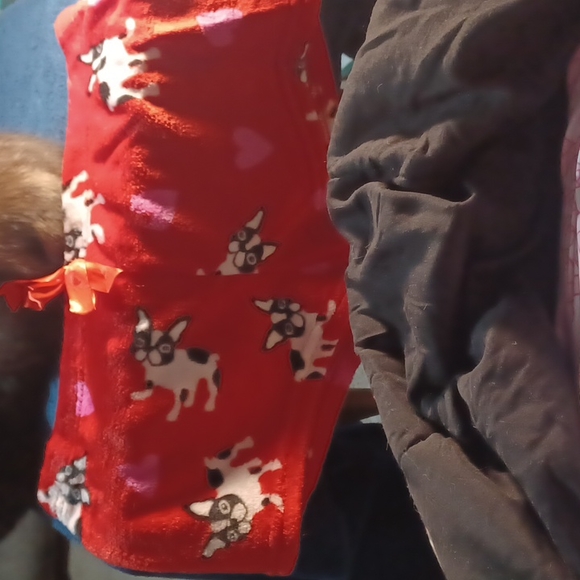 COPY - Bulldog Sleep shorts - Picture 2 of 5